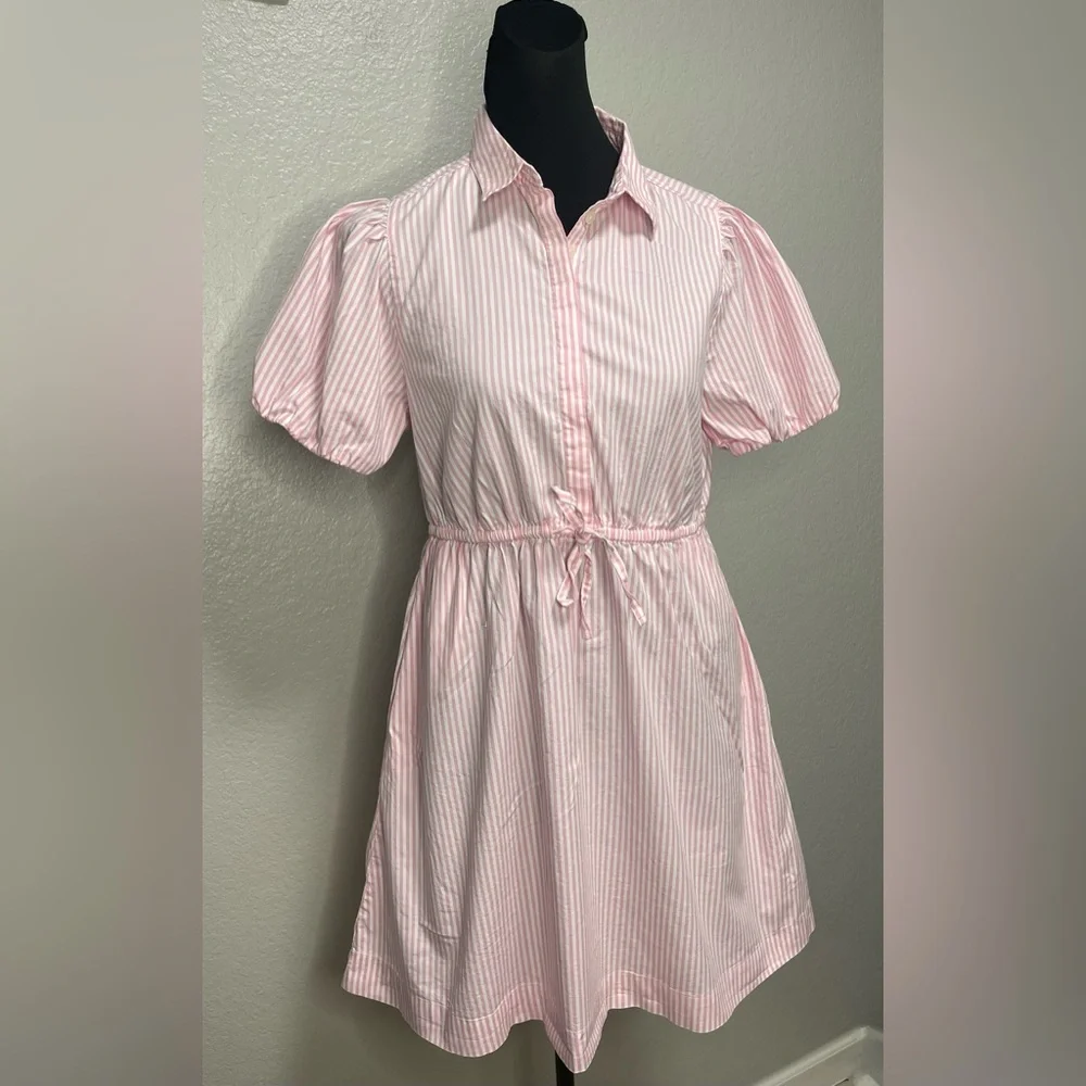 J. Crew Pink Striped Tie-Waist Mini Shirt Dress